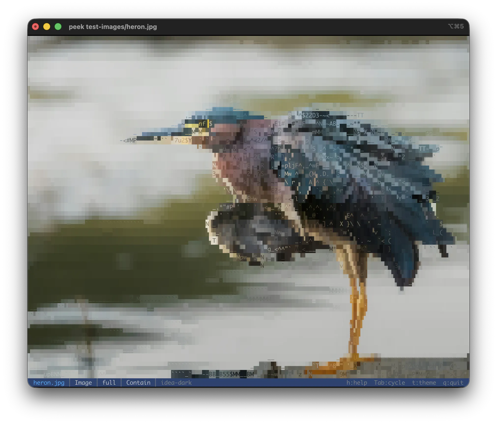 A photograph rendered in the terminal as glyph-matched 24-bit color art